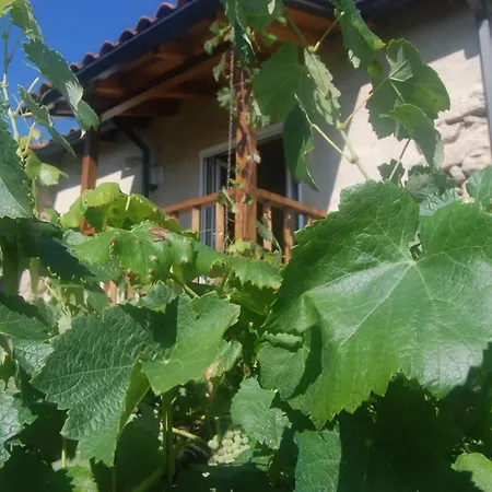 Casa De Flores Ribeira Sacra