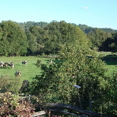 カントリーハウス Casa De Flores Ribeira Sacra