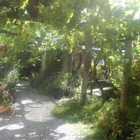 カントリーハウス Casa De Flores Ribeira Sacra