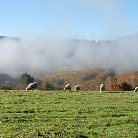 Casa De Flores Ribeira Sacra *