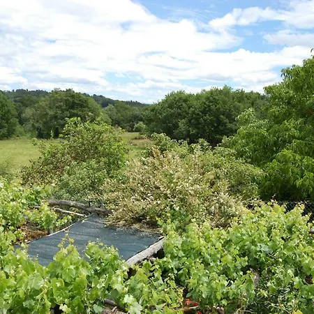 Casa De Flores Ribeira Sacra カントリーハウス