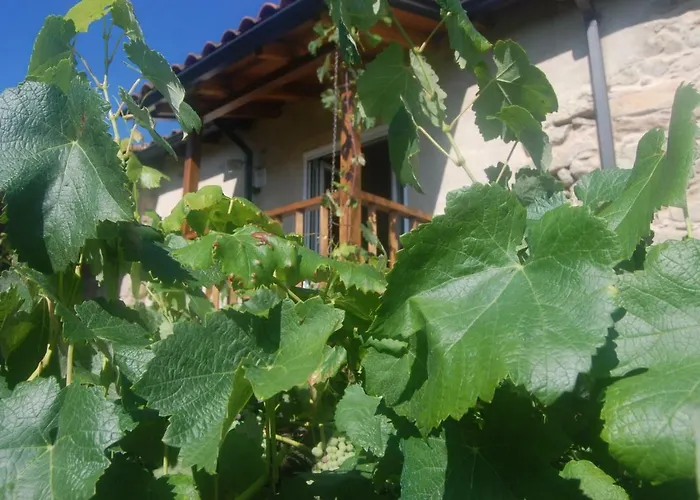Casa De Flores Ribeira Sacra