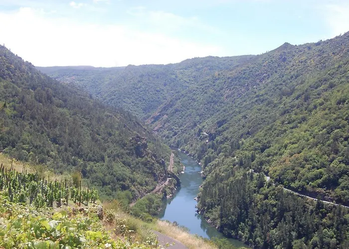Gospodarstwo wiejskie Casa De Flores Ribeira Sacra