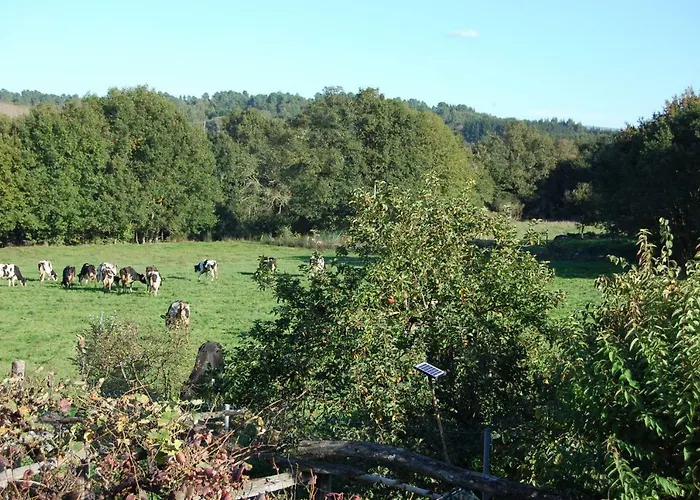 Casa di campagna Casa De Flores Ribeira Sacra