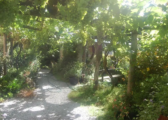 Gospodarstwo wiejskie Casa De Flores Ribeira Sacra