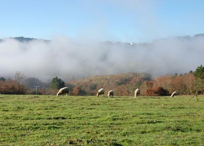 Casa De Flores Ribeira Sacra *