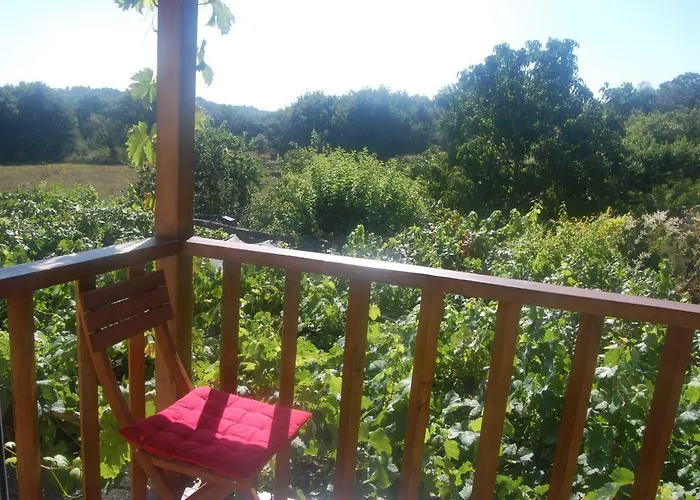 Casa De Flores Ribeira Sacra