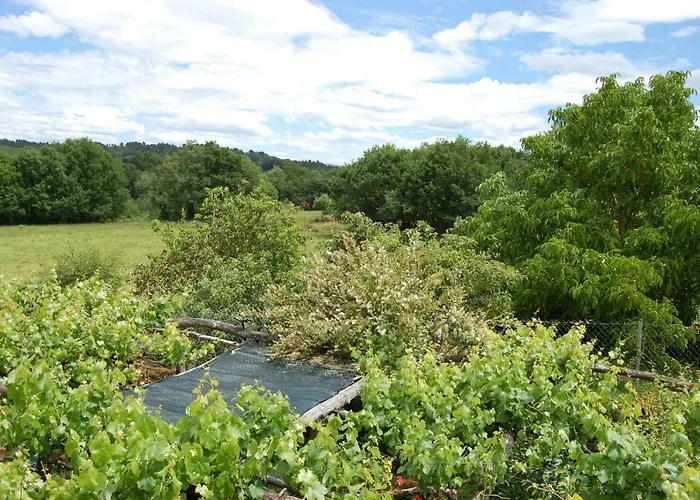 Casa De Flores Ribeira Sacra Casa di campagna